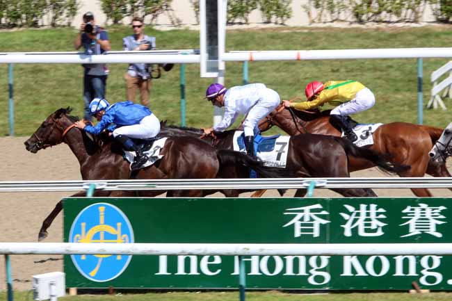 Photo d'arrivée de la course pmu PRIX DE LOUVIERS-EN-AUGE à DEAUVILLE le Lundi 15 août 2016