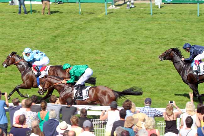 Photo d'arrivée de la course pmu PRIX GUILLAUME D'ORNANO - HARAS DU LOGIS SAINT-GERMAIN à DEAUVILLE le Lundi 15 août 2016