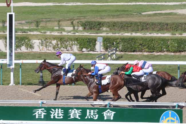 Photo d'arrivée de la course pmu PRIX DE BOIS CARROUGES à DEAUVILLE le Lundi 15 août 2016