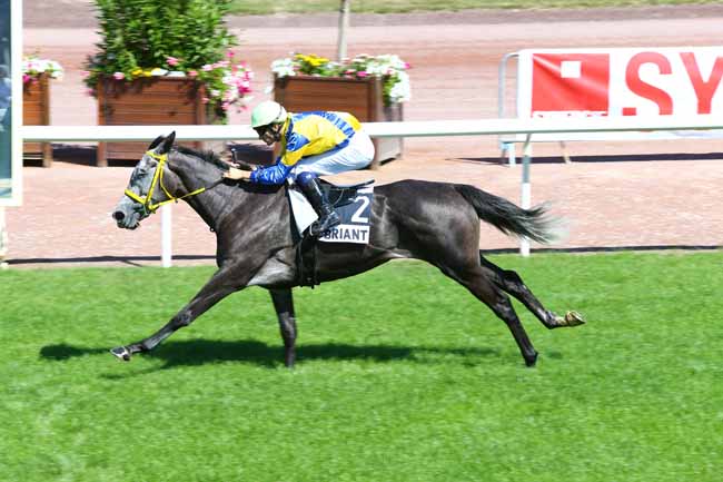 Photo d'arrivée de la course pmu PRIX USEFUL à CHATEAUBRIANT le Mardi 16 août 2016