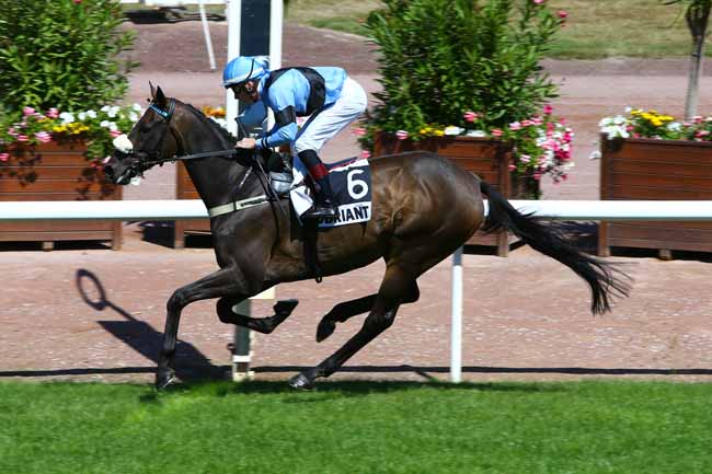 Photo d'arrivée de la course pmu PRIX DE SAINT-CLOUD à CHATEAUBRIANT le Mardi 16 août 2016