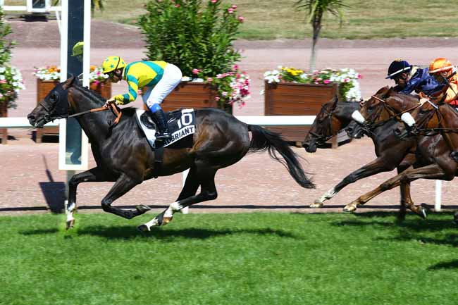Photo d'arrivée de la course pmu GRAND PRIX DE CHATEAUBRIANT à CHATEAUBRIANT le Mardi 16 août 2016