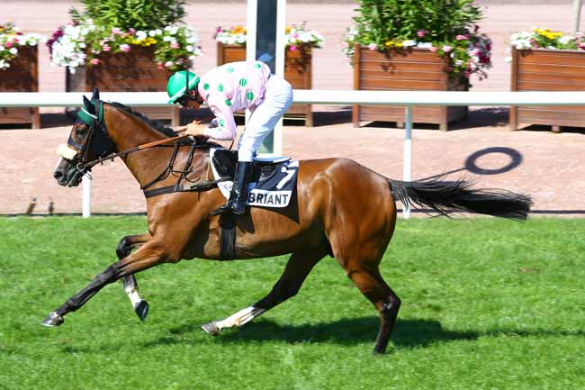 Photo d'arrivée de la course pmu PRIX GACKO à CHATEAUBRIANT le Mardi 16 août 2016