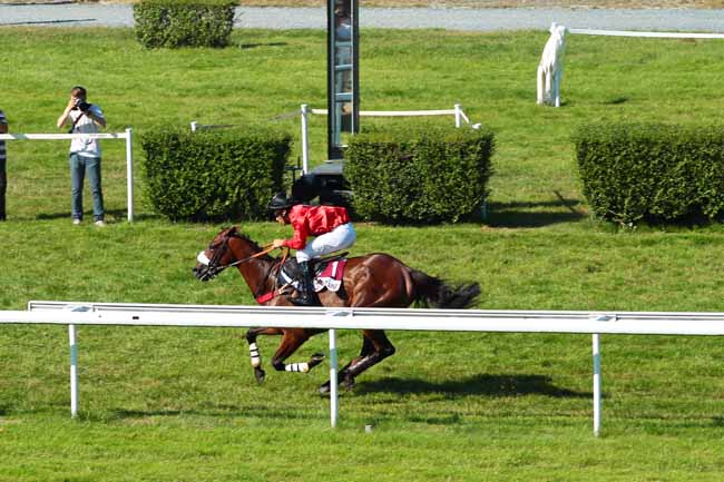 Photo d'arrivée de la course pmu PRIX DES FUSAINS à CLAIREFONTAINE le Mercredi 17 août 2016
