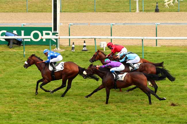 Photo d'arrivée de la course pmu PRIX DE MARTINVAST à DEAUVILLE le Jeudi 18 août 2016