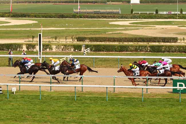 Photo d'arrivée de la course pmu PRIX D'ALENCON à DEAUVILLE le Jeudi 18 août 2016