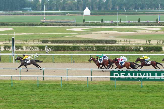 Photo d'arrivée de la course pmu PRIX DE BONNEBOSQ à DEAUVILLE le Jeudi 18 août 2016