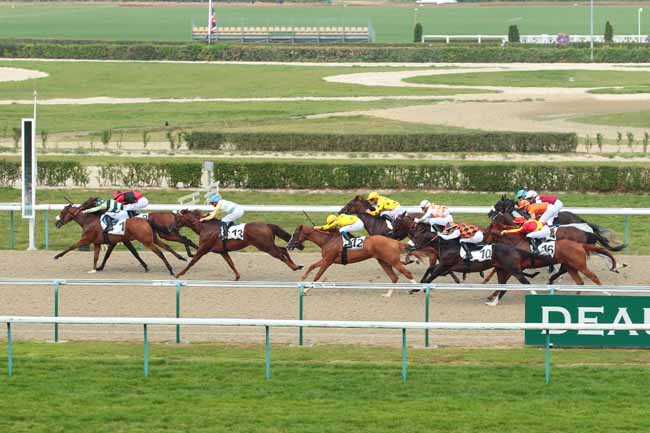 Photo d'arrivée de la course pmu PRIX D'ARGENTAN à DEAUVILLE le Jeudi 18 août 2016