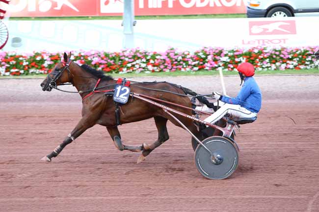 Photo d'arrivée de la course pmu PRIX DES CARDAMINES à CABOURG le Vendredi 19 août 2016