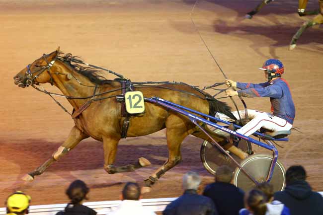 Photo d'arrivée de la course pmu PRIX DES EGLANTINES à CABOURG le Vendredi 19 août 2016