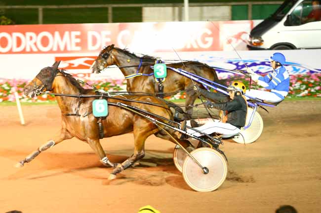 Photo d'arrivée de la course pmu PRIX DES CYPRES (GR B) à CABOURG le Vendredi 19 août 2016