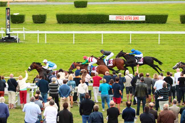 Photo d'arrivée de la course pmu PRIX PELLEAS - ECOLE BLONDEAU à CLAIREFONTAINE le Vendredi 19 août 2016