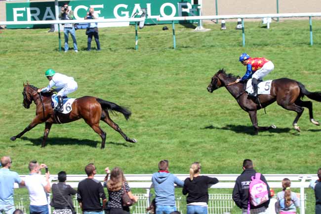 Photo d'arrivée de la course pmu PRIX D'AUQUAINVILLE à DEAUVILLE le Samedi 20 août 2016