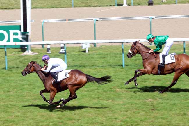 Photo d'arrivée de la course pmu PRIX DE PENNEDEPIE à DEAUVILLE le Samedi 20 août 2016