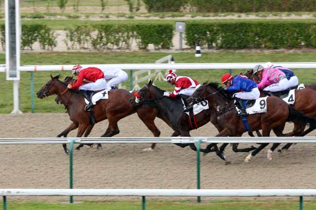 Photo d'arrivée de la course pmu PRIX DE BELLEME à DEAUVILLE le Samedi 20 août 2016