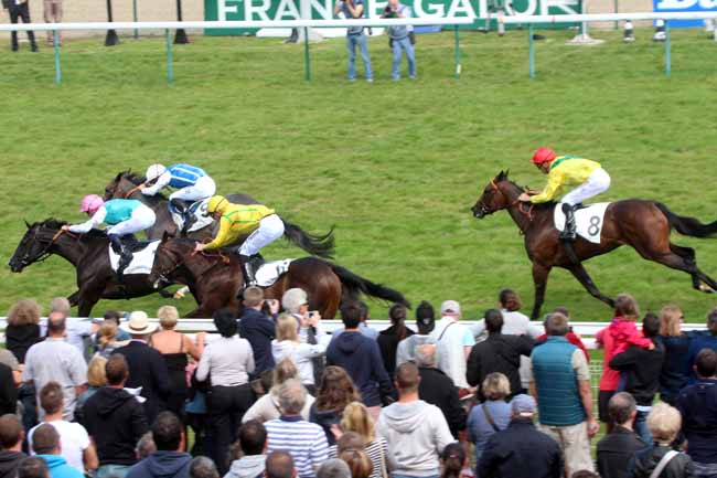 Photo d'arrivée de la course pmu PRIX DE PRETREVILLE à DEAUVILLE le Dimanche 21 août 2016