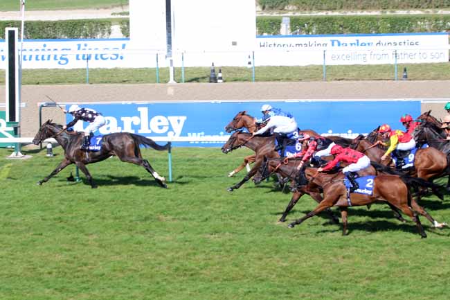 Photo d'arrivée de la course pmu DARLEY PRIX JEAN ROMANET à DEAUVILLE le Dimanche 21 août 2016