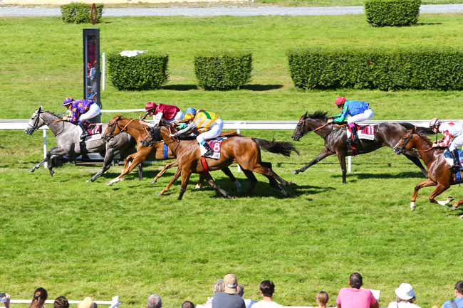 Photo d'arrivée de la course pmu PRIX DES IRIS à CLAIREFONTAINE le Lundi 22 août 2016