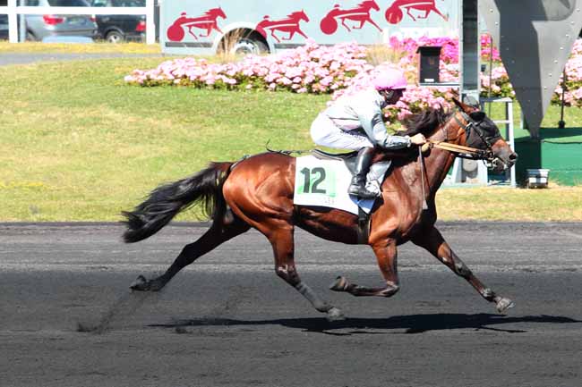 Photo d'arrivée de la course pmu PRIX D'ABBEVILLE à PARIS-VINCENNES le Lundi 22 août 2016