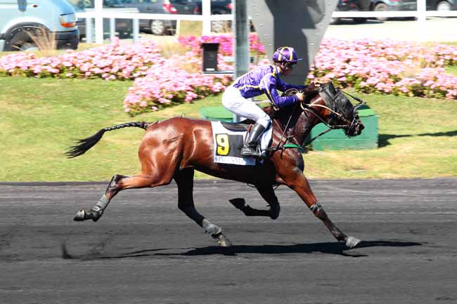 Photo d'arrivée de la course pmu PRIX DE SEGRE à PARIS-VINCENNES le Mercredi 24 août 2016