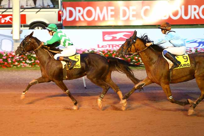 Photo d'arrivée de la course pmu PRIX DES GAZANIES à CABOURG le Vendredi 26 août 2016