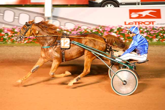 Photo d'arrivée de la course pmu PRIX DES FLAMBOYANTS (GR B) à CABOURG le Vendredi 26 août 2016