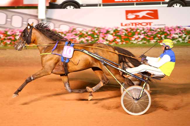 Photo d'arrivée de la course pmu PRIX DES ORNITHOGALES à CABOURG le Vendredi 26 août 2016