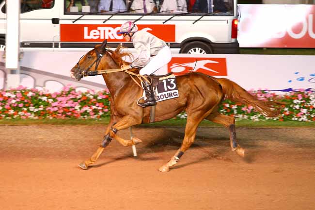 Photo d'arrivée de la course pmu PRIX DES OISEAUX DU PARADIS à CABOURG le Vendredi 26 août 2016