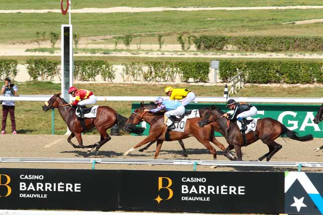 Photo d'arrivée de la course pmu PRIX DU CANAL DE TANCARVILLE à DEAUVILLE le Samedi 27 août 2016