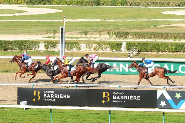 Photo d'arrivée de la course pmu PRIX SUCAUD à DEAUVILLE le Samedi 27 août 2016