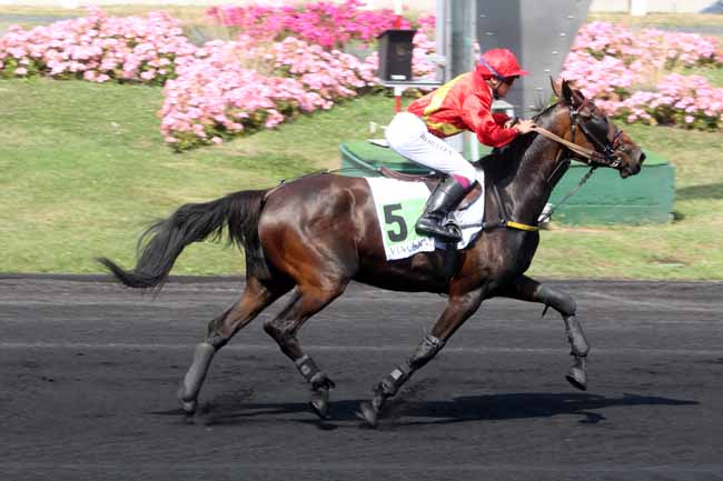 Photo d'arrivée de la course pmu PRIX DE TOURS à PARIS-VINCENNES le Samedi 27 août 2016