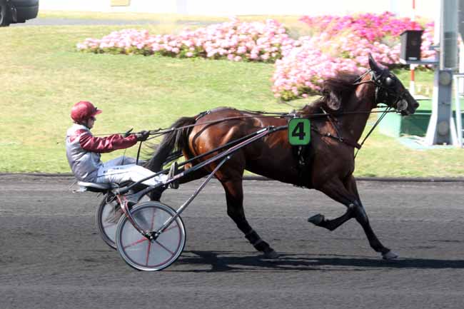 Photo d'arrivée de la course pmu PRIX DE PROVENCE à PARIS-VINCENNES le Samedi 27 août 2016