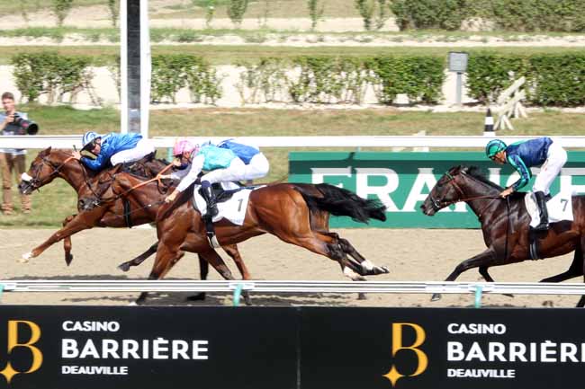 Photo d'arrivée de la course pmu PRIX CASINO BARRIERE - TROUVILLE à DEAUVILLE le Dimanche 28 août 2016