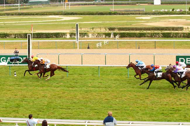 Photo d'arrivée de la course pmu PRIX DE SAINT-PIERRE AZIF à DEAUVILLE le Lundi 29 août 2016