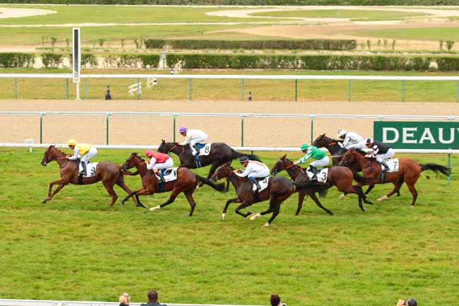 Photo d'arrivée de la course pmu PRIX DE PUTOT-EN-AUGE à DEAUVILLE le Lundi 29 août 2016