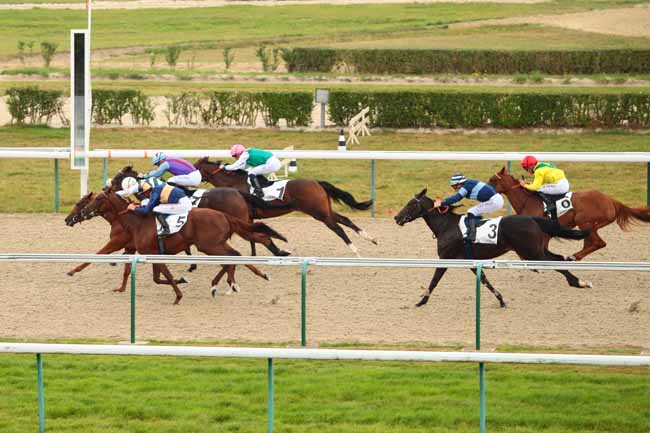 Photo d'arrivée de la course pmu PRIX DE LA CAUVINIERE à DEAUVILLE le Lundi 29 août 2016