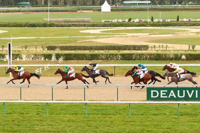 Photo d'arrivée de la course pmu PRIX DE VALSEME à DEAUVILLE le Lundi 29 août 2016