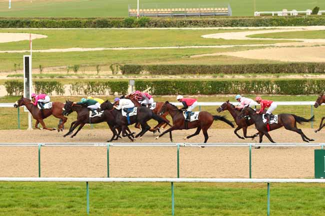 Photo d'arrivée de la course pmu PRIX DE PERSEIGNE à DEAUVILLE le Lundi 29 août 2016