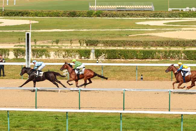 Photo d'arrivée de la course pmu PRIX DE MAMERS à DEAUVILLE le Lundi 29 août 2016