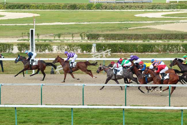 Photo d'arrivée de la course pmu PRIX DU MESNIL EUDES à DEAUVILLE le Lundi 29 août 2016