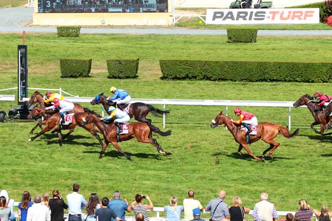 Photo d'arrivée de la course pmu PRIX DU BOCAGE à CLAIREFONTAINE le Mardi 30 août 2016