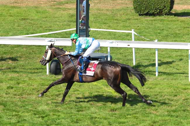 Photo d'arrivée de la course pmu PRIX DES PATURAGES à CLAIREFONTAINE le Mardi 30 août 2016