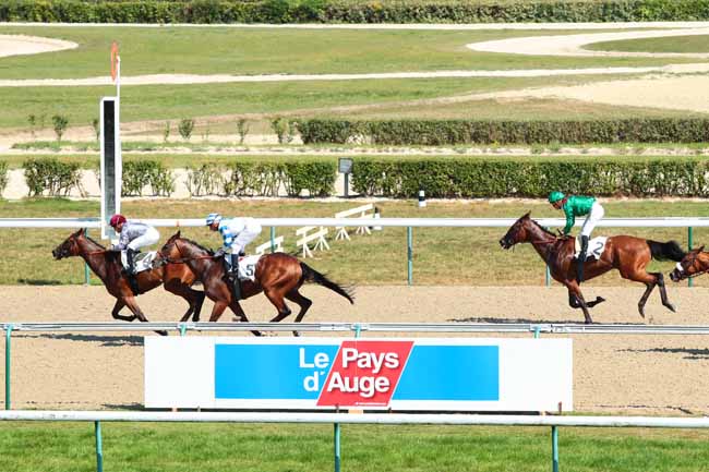 Photo d'arrivée de la course pmu PRIX DE COLLEVILLE à DEAUVILLE le Mercredi 31 août 2016