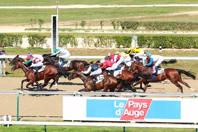 Photo d'arrivée de la course pmu PRIX DE BOLBEC à DEAUVILLE le Mercredi 31 août 2016