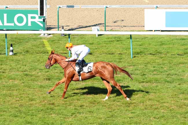 Photo d'arrivée de la course pmu PRIX DE LA HOUBLONNIERE à DEAUVILLE le Mercredi 31 août 2016