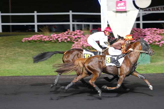 Photo d'arrivée de la course pmu PRIX PEITHO à PARIS-VINCENNES le Vendredi 2 septembre 2016