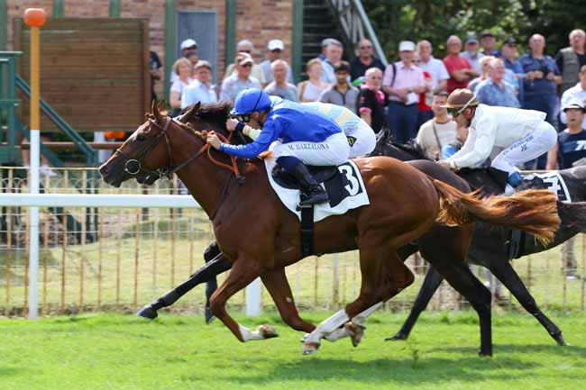 Photo d'arrivée de la course pmu PRIX DE MALESHERBES à FONTAINEBLEAU le Vendredi 2 septembre 2016