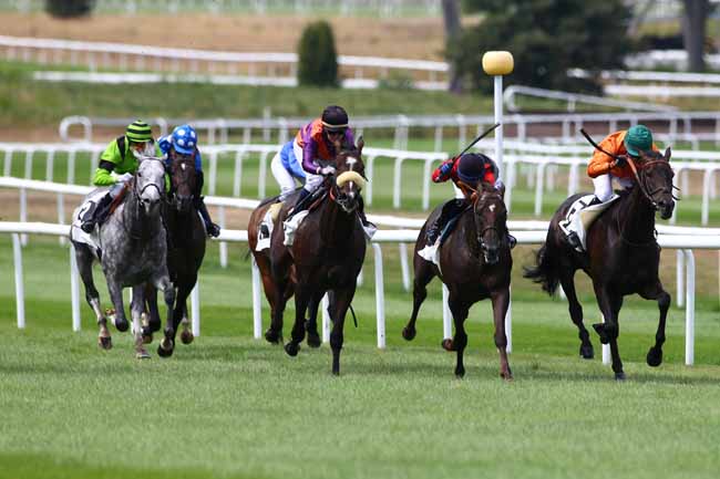 Photo d'arrivée de la course pmu PRIX ARTUS DE MAILLE à FONTAINEBLEAU le Vendredi 2 septembre 2016