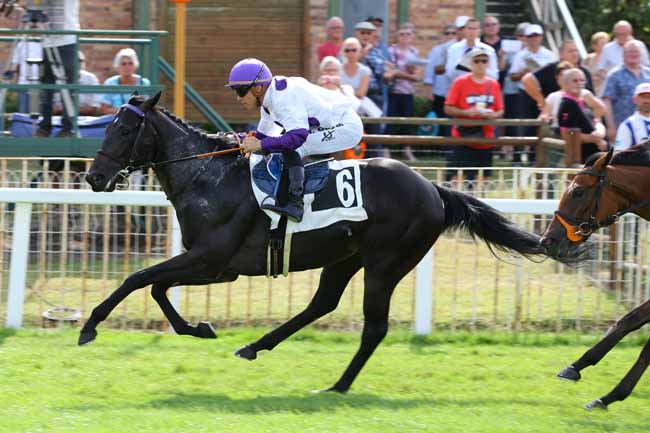 Photo d'arrivée de la course pmu PRIX DE L'ORVANNE à FONTAINEBLEAU le Vendredi 2 septembre 2016