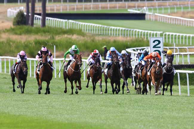 Photo d'arrivée de la course pmu GRAND PRIX DE FONTAINEBLEAU à FONTAINEBLEAU le Vendredi 2 septembre 2016